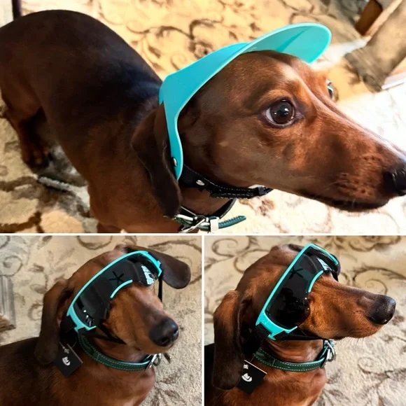 Small Dog Hat and Goggles Set Adjustable Sun Hat UV Protection Puppy Sunglasses - Picture 7 of 11